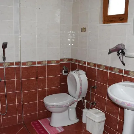 Bursa Uludag Eteginde, Ormanin Icerisinde, Havuzlu Bahceli Kiralik Alpesi faház Kestel (Bursa)